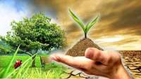 تاسیس صندوق خیریه