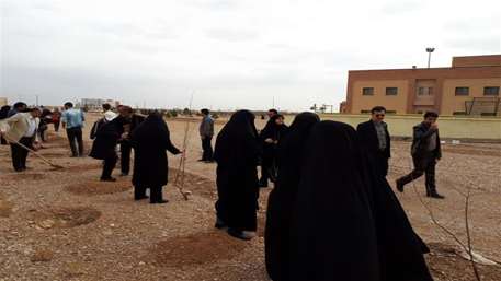  دانشکده بهداشت دامغان
